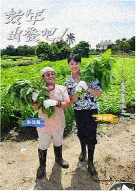 高分完结书单封面